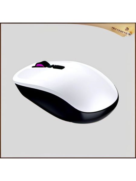 Wireless Ergonomic Mouse